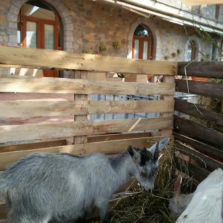 Prisco * San Mauro la Bruca